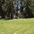  Land for sale in Calpan, Puebla, Calpan