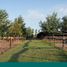  Land for sale in Santa Fe, Rosario, Santa Fe