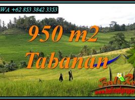  Land for sale in Kerambitan, Tabanan, Kerambitan