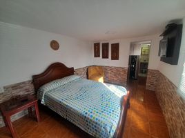 1 Bedroom Apartment for rent in Caldas, Manizales, Caldas