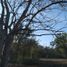  Land for sale in Allende, Nuevo Leon, Allende
