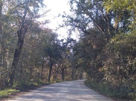  Land for sale in Allende, Nuevo Leon, Allende