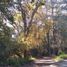  Land for sale in Allende, Nuevo Leon, Allende