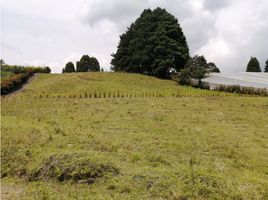  Terreno (Parcela) en venta en El Carmen De Viboral, Antioquia, El Carmen De Viboral