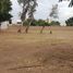  Land for rent in Culiacan, Sinaloa, Culiacan, Sinaloa