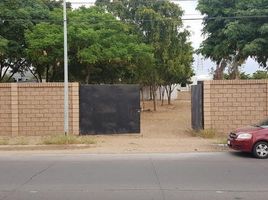  Grundstück zu vermieten in Culiacan, Sinaloa, Culiacan, Sinaloa