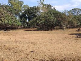  Land for sale in Ilocos, San Jacinto, Pangasinan, Ilocos