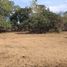  Land for sale in San Jacinto, Ilocos, San Jacinto