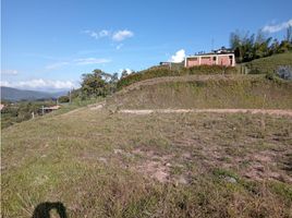  Land for sale in Penol, Antioquia, Penol