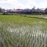  Land for sale in Sukawati, Gianyar, Sukawati