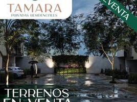 Land for sale in Jesus Maria, Aguascalientes, Jesus Maria