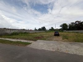  Land for sale in Yogyakarta, Mlati, Sleman, Yogyakarta