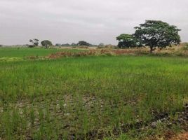  Land for sale in Samborondon, Guayas, Samborondon, Samborondon