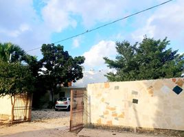 2 Schlafzimmer Wohnung zu vermieten in Merida, Yucatan, Merida, Yucatan