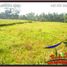  Land for sale in Tampak Siring, Gianyar, Tampak Siring