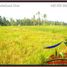  Land for sale in Tampak Siring, Gianyar, Tampak Siring