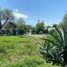 1 Bedroom House for sale in Montemorelos, Nuevo Leon, Montemorelos