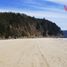  Land for sale in Chile, Tome, Concepción, Biobío, Chile