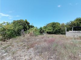  Land for sale in Santa Marta, Magdalena, Santa Marta