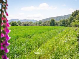  Terreno (Parcela) en venta en Los Lagos, Valdivia, Los Lagos