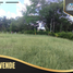  Land for sale in Tolima, Melgar, Tolima