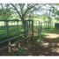 Studio Villa for sale in Potuga, Herrera, Potuga, Parita, Herrera