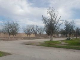  Grundstück zu verkaufen in Torreon, Coahuila, Torreon
