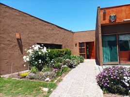  Terreno (Parcela) en venta en Chile, Vicuna, Elqui, Coquimbo, Chile