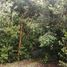  Land for sale in Chile, Cochamo, Llanquihue, Los Lagos, Chile
