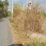  Land for sale in San Marcelino, Central Luzon, San Marcelino