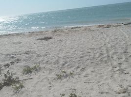  Grundstück zu verkaufen in Celestun, Yucatan, Celestun