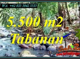  Land for sale in Selemadeg, Tabanan, Selemadeg