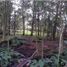 Terrain à vendre à Rionegro, Antioquia, Rionegro