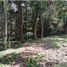 Terrain à vendre à Rionegro, Antioquia, Rionegro