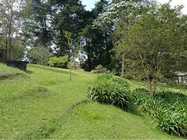 Terrain à vendre à Rionegro, Antioquia, Rionegro