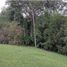 Terrain à vendre à Rionegro, Antioquia, Rionegro