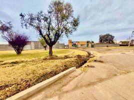  Terreno (Parcela) en venta en Maipu, Mendoza, Maipu