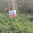  Land for sale in Tizimin, Yucatan, Tizimin, Yucatan