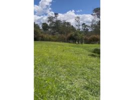 Terrain à vendre à Rionegro, Antioquia, Rionegro