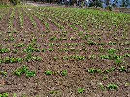  Terreno (Parcela) en venta en Antonio Ante, Imbabura, Atuntaqui, Antonio Ante