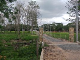  Terreno (Parcela) en venta en Monteria, Córdoba, Monteria