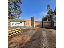  Land for sale in Nuble, Pemuco, Diguillin, Nuble