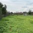  Terreno (Parcela) en venta en Colina, Chacabuco, Colina