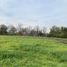  Terreno (Parcela) en venta en Colina, Chacabuco, Colina