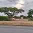  Land for rent in San Jose De Cucuta, Norte De Santander, San Jose De Cucuta