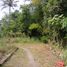  Land for sale in Kalasan, Sleman, Kalasan