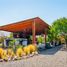  Terreno (Parcela) en venta en Colina, Chacabuco, Colina