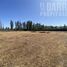 Terreno (Parcela) en venta en Colina, Chacabuco, Colina