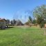  Land for sale in Colina, Santiago, Colina, Chacabuco