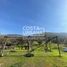  Land for sale in Valparaiso, Vina Del Mar, Valparaiso, Valparaiso